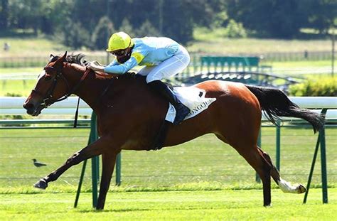 凱旋門賞（g1） 2022102日 日程・結果 Jra Van World 海外競馬情報サイト