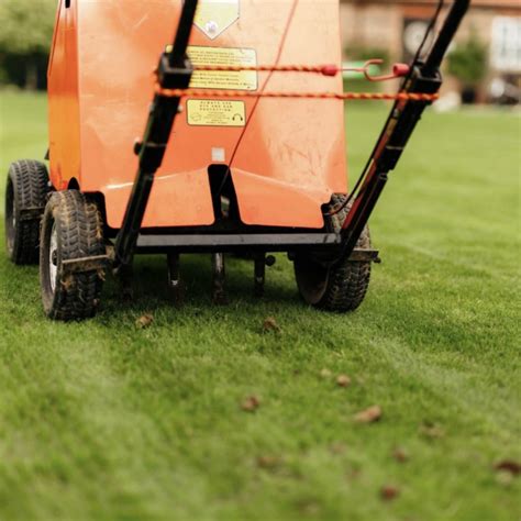 When Should You Aerate Your Lawn How To Identify The