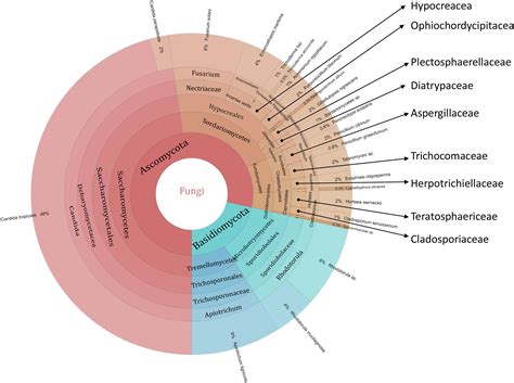 Diversity Of Fungi Isolated From Carapace And Gut Of The Marine Crab