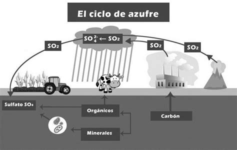 Ciclo del Azufre En que consiste Características y Etapas Ciclos