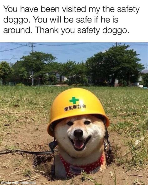 I Really Hope You Will Be Safe Rwholesomememes Wholesome Memes