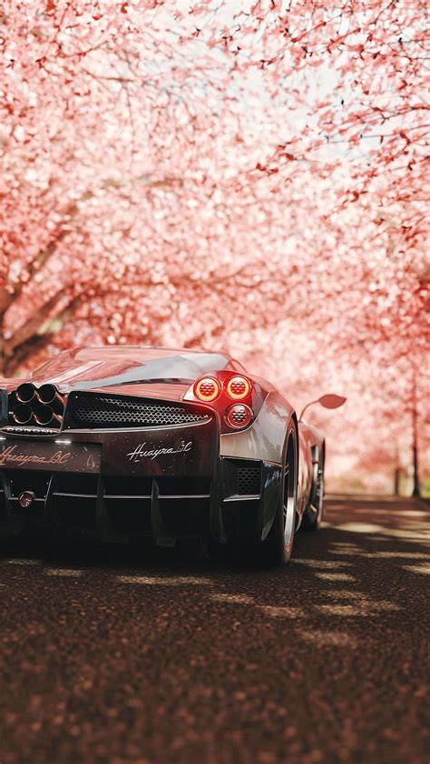 Sports Sakura Pagani Cars Sports Car Back View Rear View