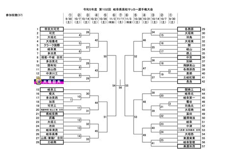 第102回全国高校サッカー選手権岐阜県予選 試合情報 大垣日大サッカー部