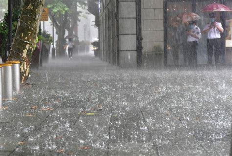 雷电、大风、暴雨黄色预警三碰头，威力大到模糊 搜狐大视野 搜狐新闻