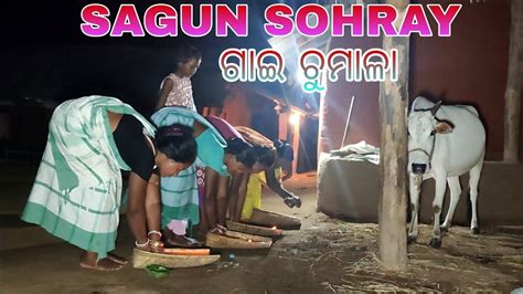 Sagun Sohrai Gai Chumala Santali Festival Sohray Jugalkishorepur