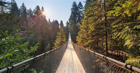 Capilano Suspension Bridge tickets | musement