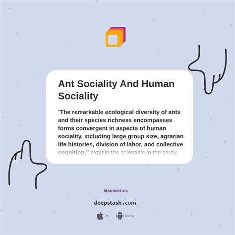 Ant Sociality And Human Sociality - Deepstash