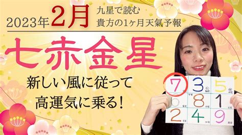 【占い】2023年2月七赤金星さん運勢！高運気に乗らなきゃ ️良いご縁が出き穏やかに整う時😊🌸 Youtube