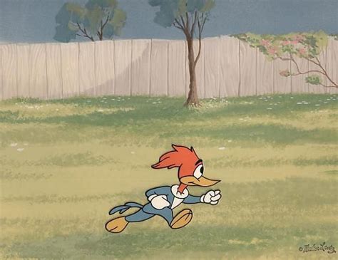 Woody Woodpecker El Pajaro Loco Animacion D Woody Pajaros