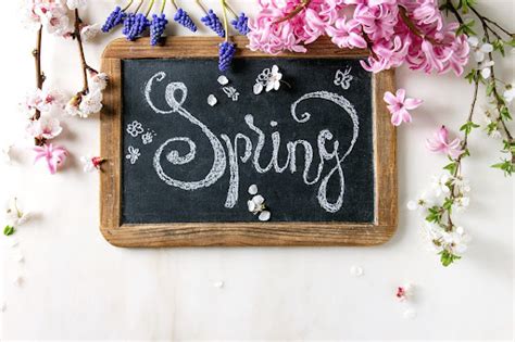 Spring is Springing - Hopper Termite & Pest