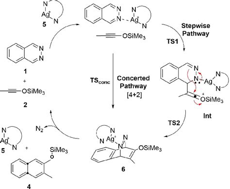 Scheme Reaction Mechanisms For Silver Catalyzed Cycloaddition Of