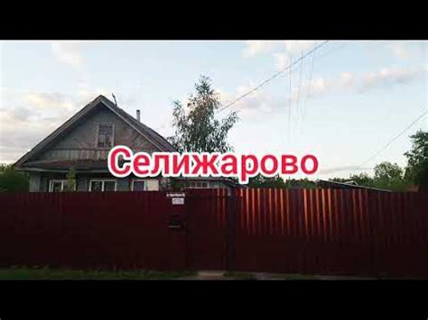 Селижарово. Тверская область. Июнь 2021 - YouTube