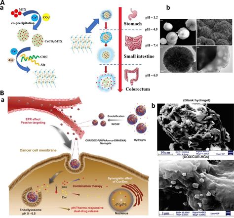 Advanced Hydrogel Based Drug Delivery Systems For Crc A Hybrid