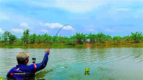 Tidak Di Ragukan Lagi Kalau Mancing Di Spot Ini Youtube