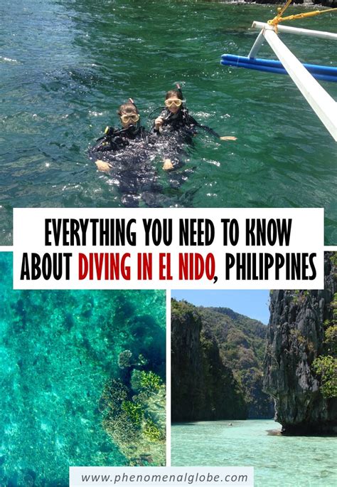 Diving In El Nido, Palawan: Everything You Need To Know