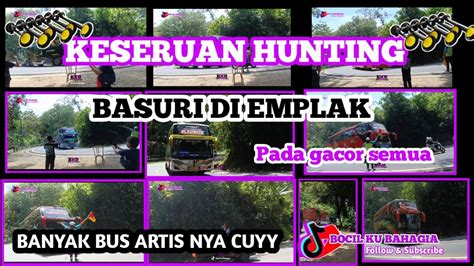 Keseruan Hunting Bus Basuri Ada Zafira Safana Unta Orange Dan