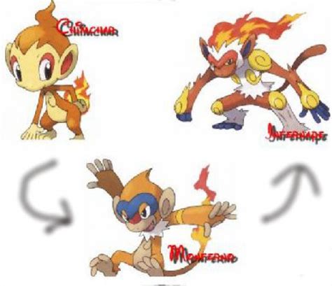 Best Ideas For Coloring Pokemon Chimchar Evolves