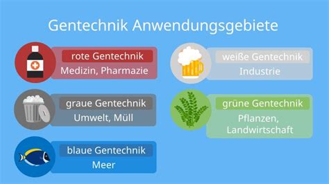 Gentechnik Im Lebensmittelbereich Pro Und Contra Das Wissen