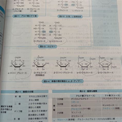 スタンダード生化学・口腔生化学 メルカリ