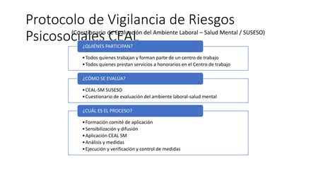 Protocolo De Riesgos Psicosociales Ceal Sm Pptx