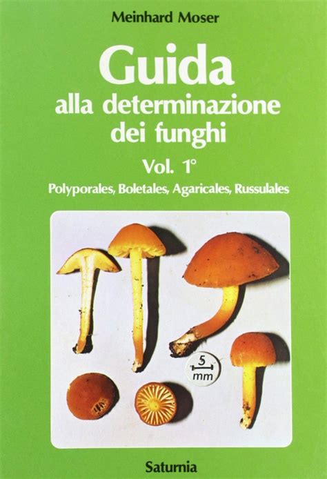 Guida Alla Determinazione Dei Funghi Volume Guide To The