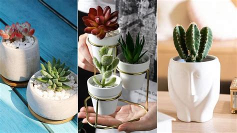 Estos Maceteros Mini Para Suculentas Te Van A Enamorar Jardinatis