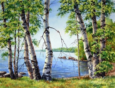 Birch Trees On Long Lake Painting By Varvara Harmon Pixels