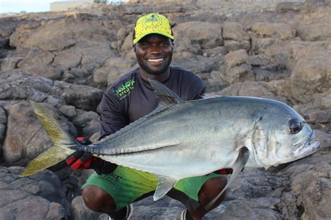 DPSG Des Poissons Si Grands