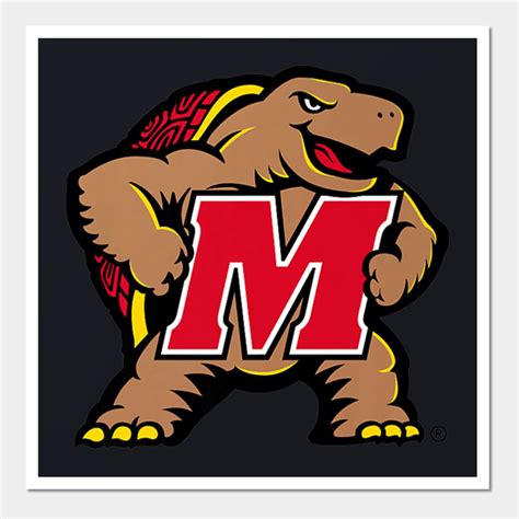 Womens Maryland Terrapins Terps Womens Ncaa Wall And Art Print | Womens ...