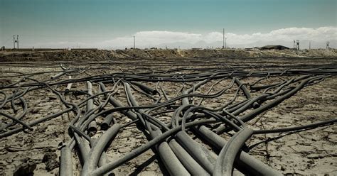 Lecciones De Am Rica Latina Para El Mundo Por Qu Necesitamos Legislar Sobre Ecocidio