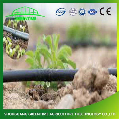 2021 New Agriculture Drip Irrigation System 16mm Flat Dripper Drip