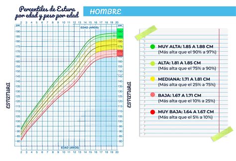 Cu Nto Deber A Medir Tu Hijo A De A Os Desc Brelo Aqu