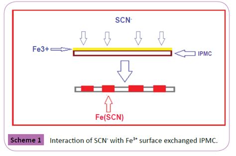 Using Ionic Polymer Metal Composite Ipmc Based Devices For Naked