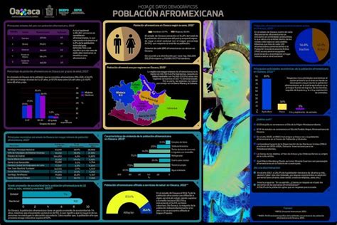 Pdf Hoja De Datos Demogr Ficos Poblacin Afromexicana