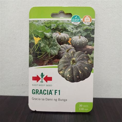 Gracia F1 30 Seeds Hybrid Squash Kalabasa By East West Seed Lazada PH