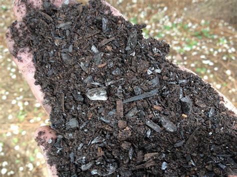 Why Biochar Might Eventually Replace Peat Moss - Greenhouse Grower