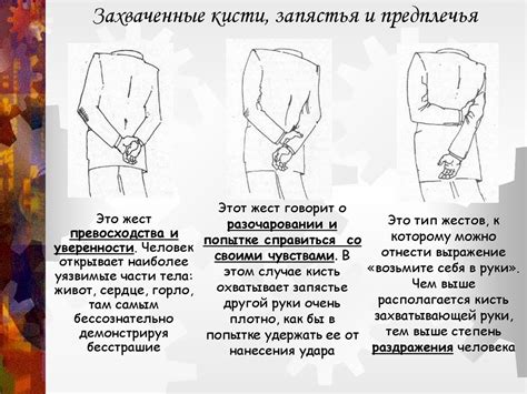 Язык телодвижений - online presentation