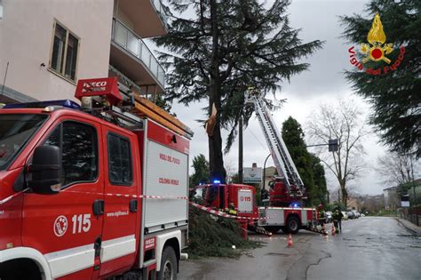 Maltempo Allerta Prorogata Scuole Chiuse Anche Domani Ecco Dove