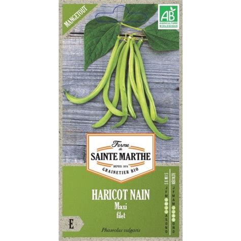 Semences Haricot Nain Maxi Filet Mangetout Bio Graines Ferme