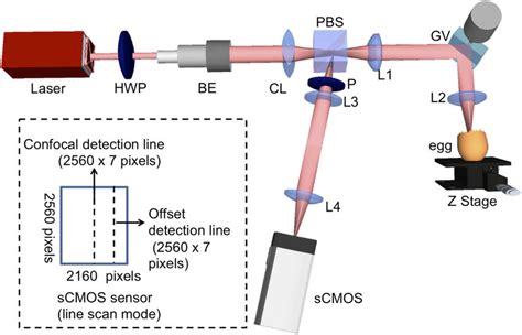 Schematic diagram of multi-functional speckle imaging system: HWP ... 