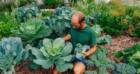 Rob Greenfield S Guide To Gardening For Beginners In Central Florida