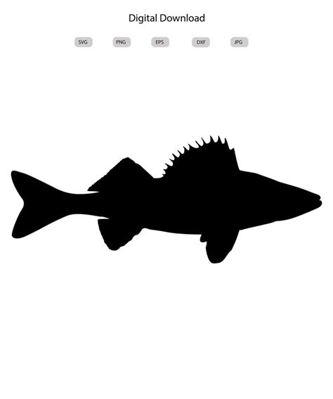 Walleye Fish Svg Walleye Fish Silhouette Walleye Fish Svg Bundle