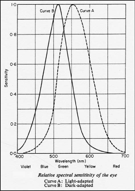 The human eye's spectral sensitivity; (A) photopic vision; (B) scotopic... | Download Scientific ...