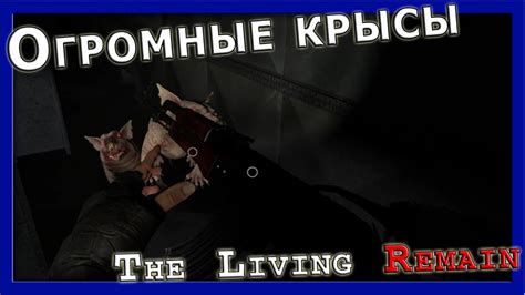 The Living Remain 5 Огромные крысы Youtube