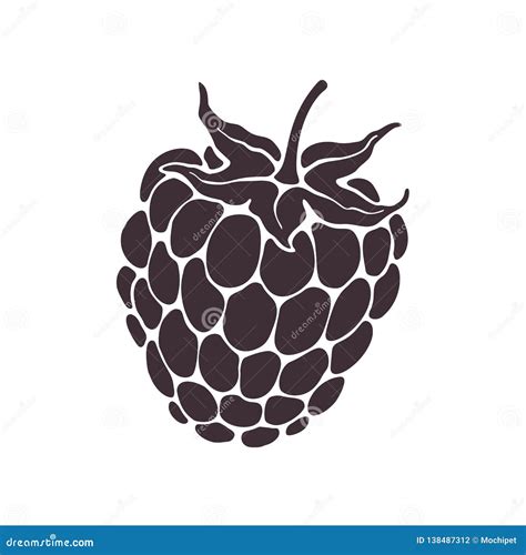 Vector Illustration Silhouette Of Blackberry Or Raspberry Fruit With