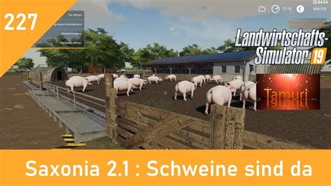 LS19 Saxonia 2 1 Produktionen Und Tiere Let S Play 227 Schweine Sind