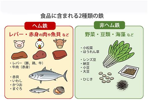 鉄分を簡単に摂る方法は5つの方法を伝授