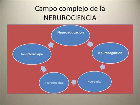 Trabajo De Neurociencia Ppt Descarga Gratuita