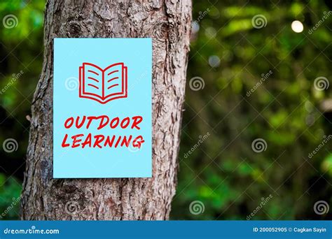 Outdoor Learning Sign With An Arrow Written On Paper On A Tree In The