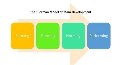 The Tuckman Model Of Team Development Source Tuckman 1965